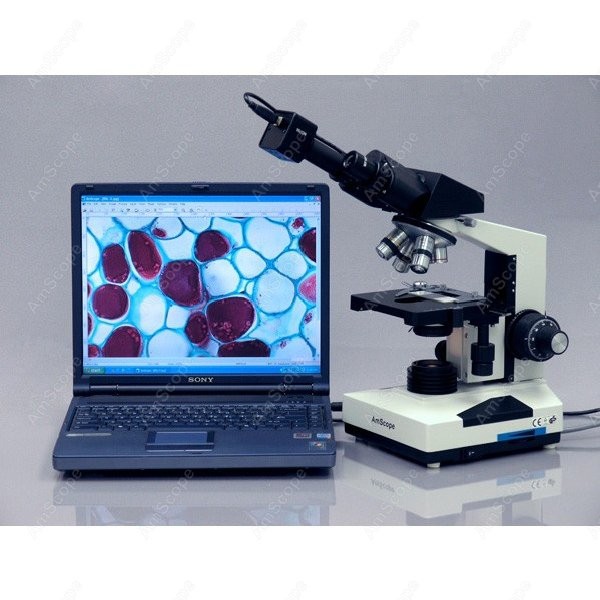 AmScope Biological Binocular C - Microscope Compound 40X review and price