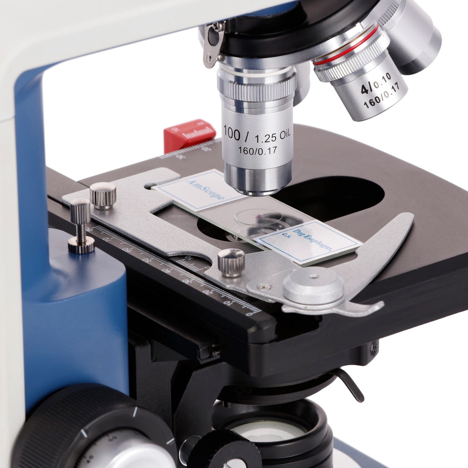 AmScope  40X-2500X Magnificati - Microscope Compound 40X review and price
