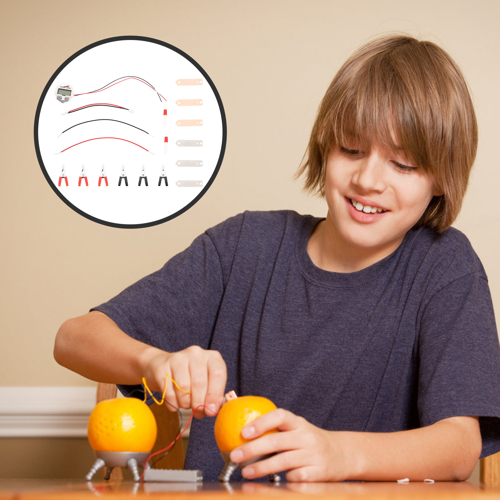 2Sets Fruit Battery Experiment - Science Project Physics review and price