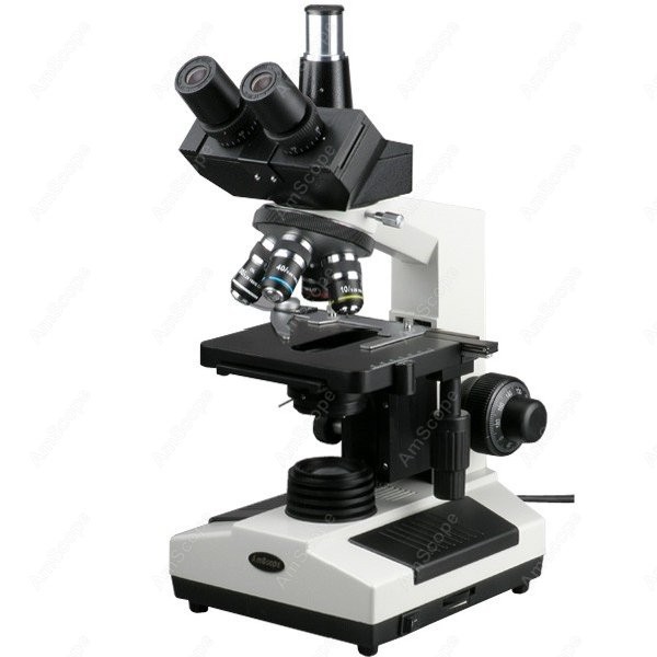AmScope T390 Series Biological - Microscope Compound 40X review and price