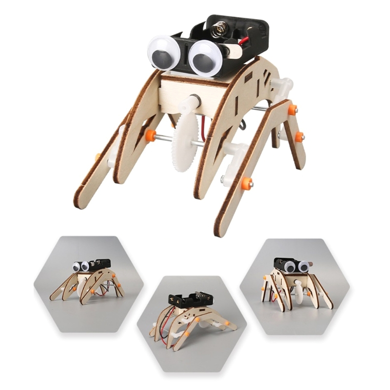  Wooden STEM Building Project  - Science Project Physics review and price