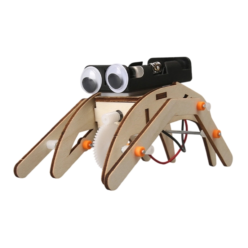  Wooden STEM Building Project  - Science Project Physics review and price